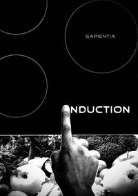 A côté de la plaque. Laurent Gross. Revue Hypnose et Thérapies Brèves. A côté de la plaque. Laurent Gross. Revue Hypnose et Thérapies Brèves.