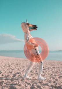 Corps en relation et boulimie. Sophie Cohen. Hors-Série Hypnose et Thérapies Brèves 17 Corps en relation et boulimie. Sophie Cohen. Hors-Série Hypnose et Thérapies Brèves 17