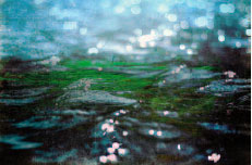 Entre vert et eau 4. © Lise Bellavoine