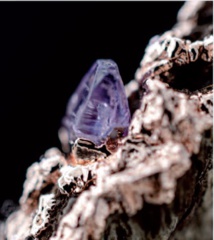 Psychotraumatisme: recréer des liens vivants. Psychotraumatisme: recréer des liens vivants.