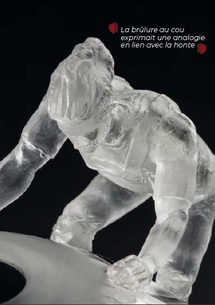 Honte et brûlures du coup. Hors-Série 19 de la Revue Hypnose & Thérapies Brèves. Honte et brûlures du coup. Hors-Série 19 de la Revue Hypnose & Thérapies Brèves.