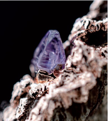 Psychotraumatisme: recréer des liens vivants. Psychotraumatisme: recréer des liens vivants.