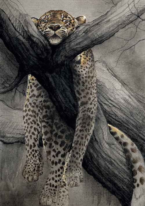 Internalisation d'un lien sécurisant. Revue Hypnose et Thérapies Brèves 78.