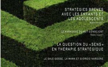 Revue Hypnose & Thérapies Brèves 09 Revue Hypnose & Thérapies Brèves 09