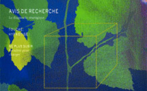 Revue Hypnose & Thérapies Brèves 21 Revue Hypnose & Thérapies Brèves 21