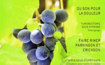 Revue Hypnose & Thérapies Brèves 35 Revue Hypnose & Thérapies Brèves 35