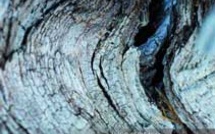 La relation en salle de naissance. La relation en salle de naissance.