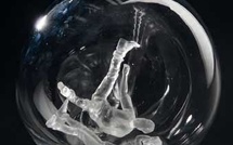 Le pouvoir de l'eczéma. HS 19 de la Revue Hypnose et Thérapies Brèves. Le pouvoir de l'eczéma. HS 19 de la Revue Hypnose et Thérapies Brèves.