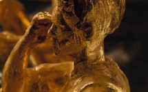 Maux de tête et désir de perfection. HS 19 de la Revue Hypnose et Thérapies Brèves. Maux de tête et désir de perfection. HS 19 de la Revue Hypnose et Thérapies Brèves.