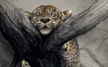 Internalisation d'un lien sécurisant. Revue Hypnose et Thérapies Brèves 78.